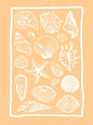 Girly Trendy Beach Scent Coastal Gallery Wall Art Set