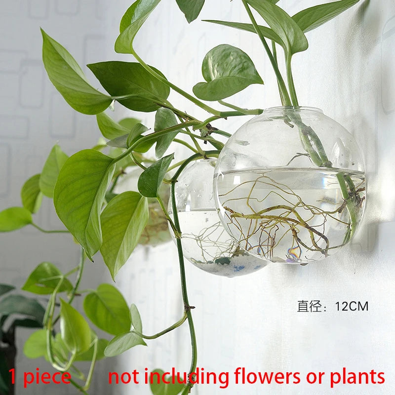Hanging Hydroponic Glass Vase – Modern Wall-Mounted Plant Decor