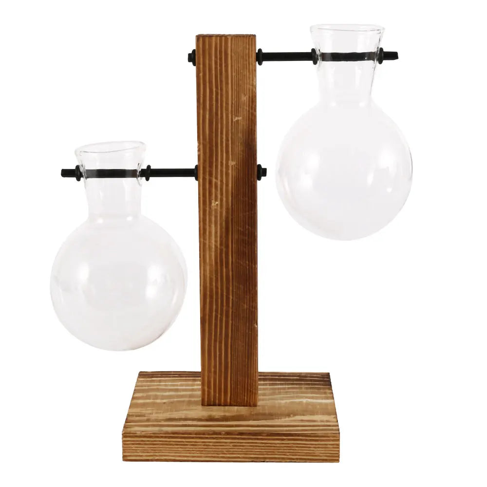 Hydroponic Glass Terrarium Vase – Desktop Plant Decor