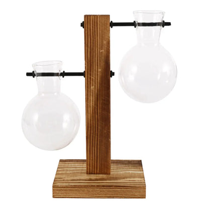 Hydroponic Glass Terrarium Vase – Desktop Plant Decor
