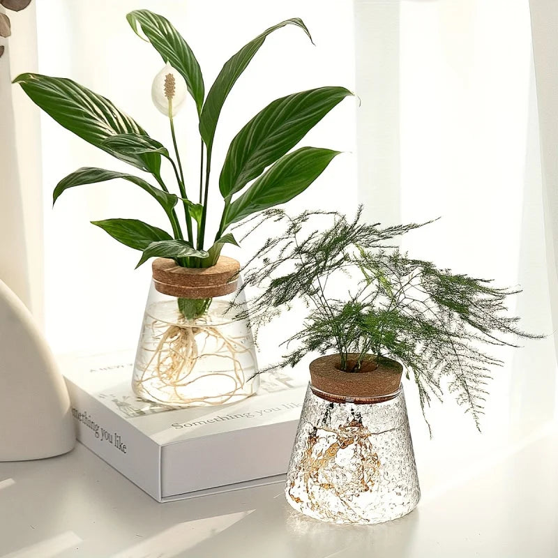 Modern Transparent Glass Hydroponic Vase – Desktop Plant Decor