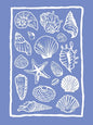 Girly Trendy Beach Scent Coastal Gallery Wall Art Set