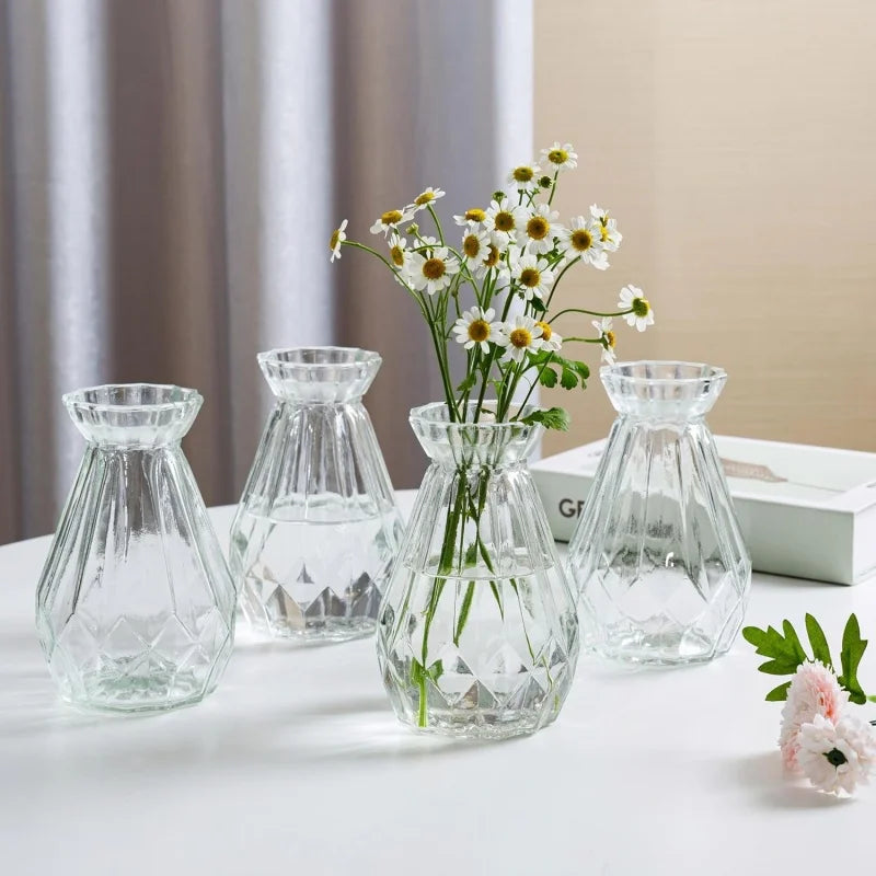 Minimalist Clear Glass Vase – Small Hydroponic Flower Vase for Home Décor