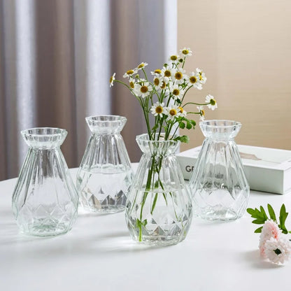 Minimalist Clear Glass Vase – Small Hydroponic Flower Vase for Home Décor