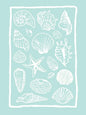 Girly Trendy Beach Scent Coastal Gallery Wall Art Set