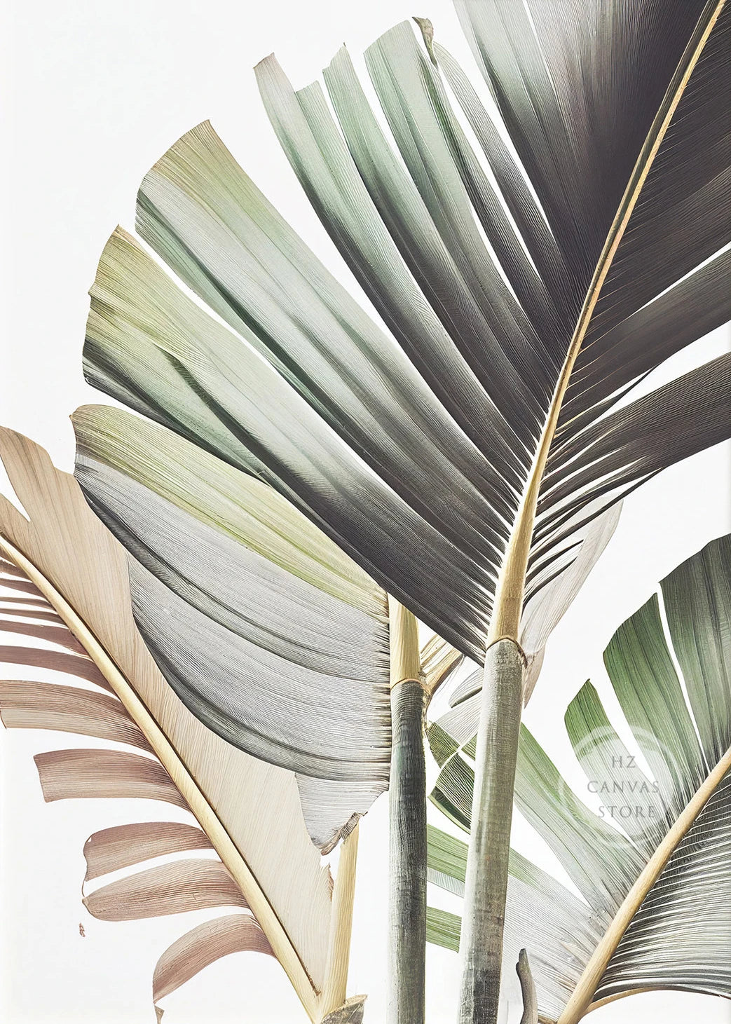 Modern Tropical Plant Canvas Print