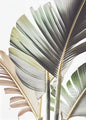 Modern Tropical Plant Canvas Print