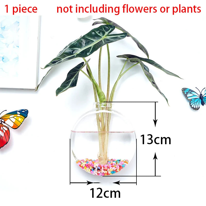 Hanging Hydroponic Glass Vase – Modern Wall-Mounted Plant Decor