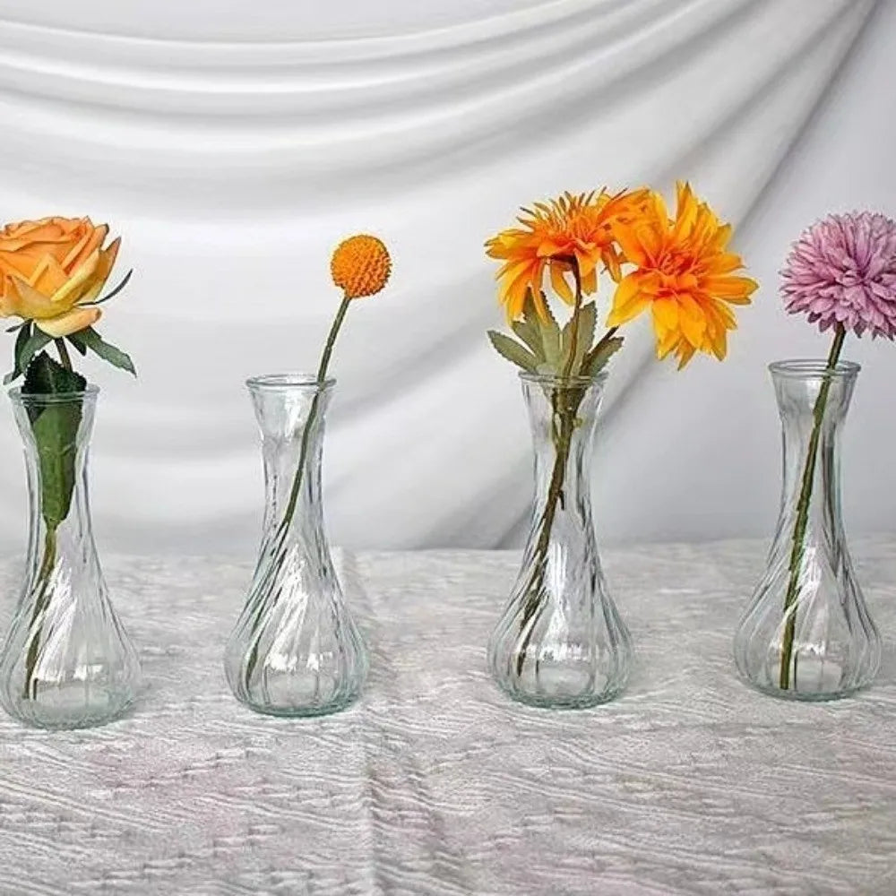 6PCS Mini Glass Vases – Rustic Transparent Flower Decor Set
