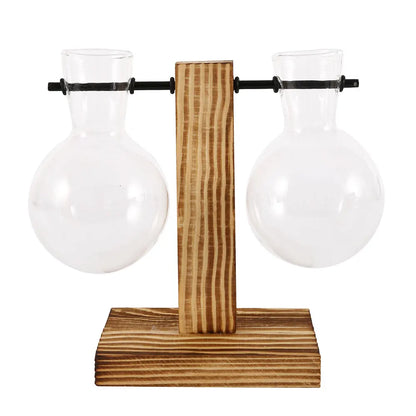 Hydroponic Glass Terrarium Vase – Desktop Plant Decor