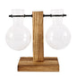 Hydroponic Glass Terrarium Vase – Desktop Plant Decor