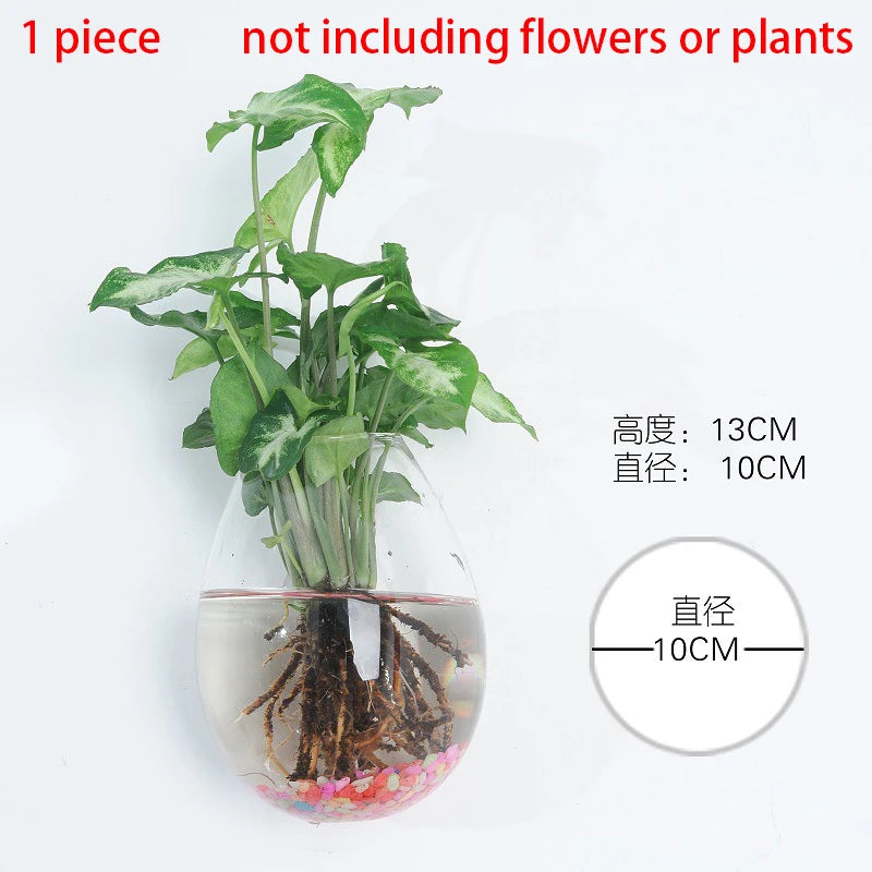 Hanging Hydroponic Glass Vase – Modern Wall-Mounted Plant Decor