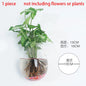 Hanging Hydroponic Glass Vase – Modern Wall-Mounted Plant Decor