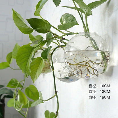 Hanging Hydroponic Glass Vase – Modern Wall-Mounted Plant Decor