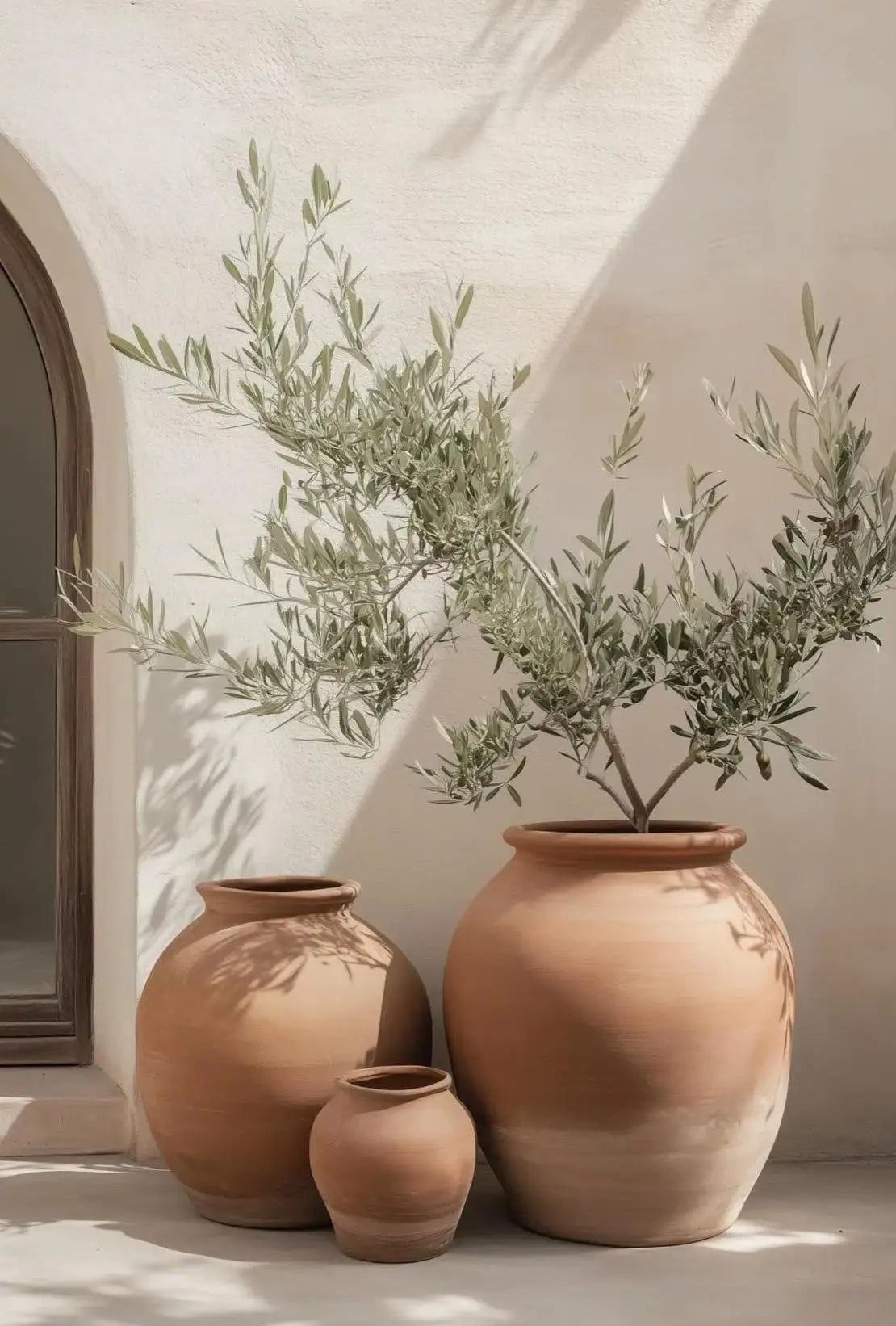 Natural Aesthetics Olive Tree Landscape Wall Art Print